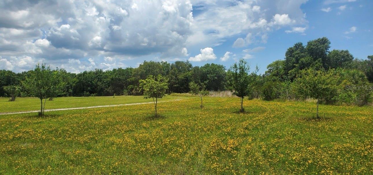 A rare opportunity to own 21 breathtaking acres just 30 minutes from Tampa! Tucked away in a private setting, this build ready property offers the perfect combination of seclusion and convenience. Located in a non flood zone with utilities already connected, it's ready for your dream estate, family compound, equestrian retreat, or future development.
Surrounded by nature and nestled in its own private cove, you'll enjoy unmatched privacy without sacrificing access to shopping, dining, airports, and major highways. Whether you're looking to build your forever home or invest in one of the area's most desirable land opportunities, this property offers endless possibilities.
Bring your vision and create something extraordinary on this one of-a kind piece of Florida paradise
