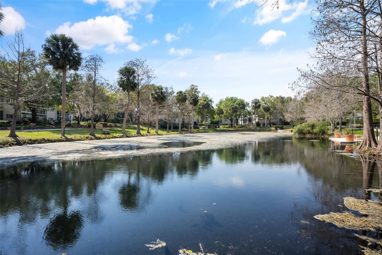 WINTER PARK GDNS CONDO - Residential