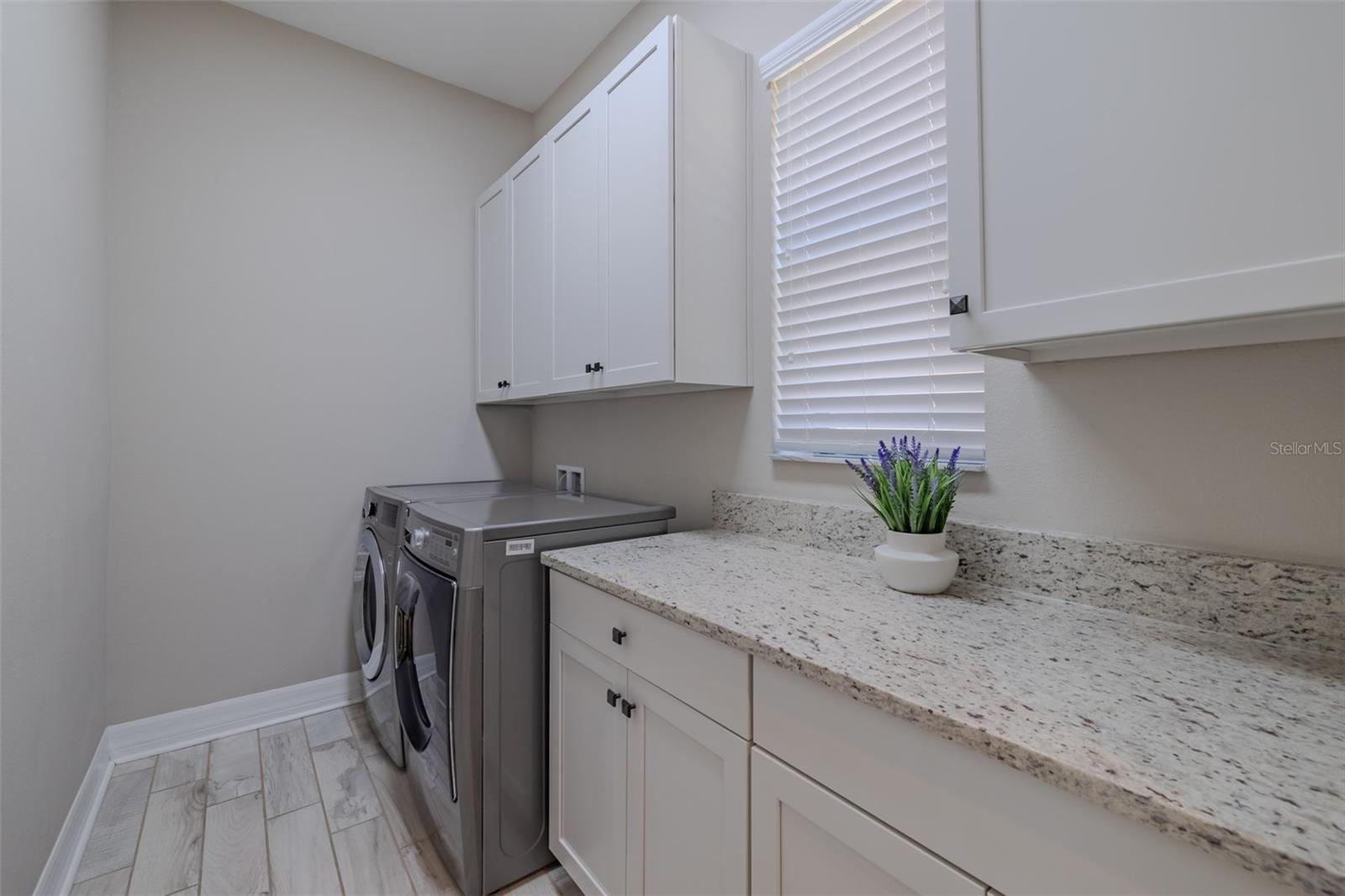 MEADOW POINTE IV PRCL AA NORTH - Residential