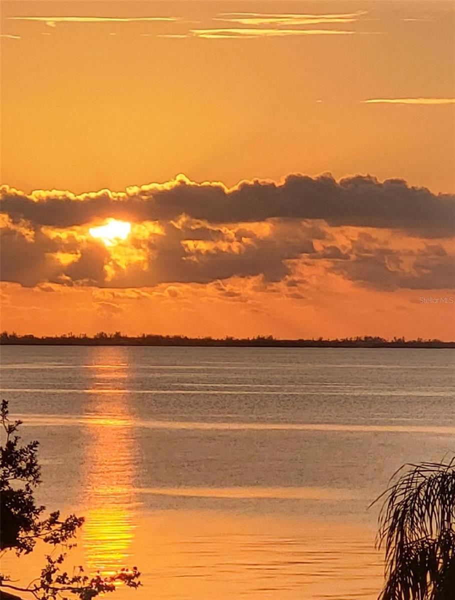 Nestled within the exclusive, 11-home Ringling Point enclave of Sarasota's coveted Sapphire Shores neighborhood, this exceptional waterfront residence offers the perfect blend of privacy, elegance, and coastal lifestyle. Featuring approximately 5,100 square feet of living space, this home boasts five bedrooms, four and half baths, soaring volume ceilings, and an open-concept floor plan designed for both comfortable living and effortless entertaining. 
This gem has been recently renovated providing a warm and inviting coastal vibe featuring an all-new gourmet kitchen, luxury bathrooms, and stunning hardwood flooring throughout. Expansive windows capture a plethora of natural light and breathtaking views of Sarasota Bay. The home sits high and dry above the flood plain and was never affected by any water intrusion from previous storms. 
Outdoor living takes center stage with a spacious deck overlooking a private resort-style pool surrounded by lush tropical landscaping. A fully fenced backyard creates a secluded retreat that leads out to your private boat dock complete with a lift in the protected Sapphire Shores Cove offering convenient access to Sarasota Bay for the boating enthusiasts. 
Additional highlights include abundant storage space, an oversized two-car garage, mature landscaping, and a premium location just minutes from downtown Sarasota, world-renowned Gulf beaches, cultural attractions, and Sarasota-Bradenton International Airport. 
A rare opportunity to enjoy waterfront living in one of Sarasota's most desirable neighborhoods.