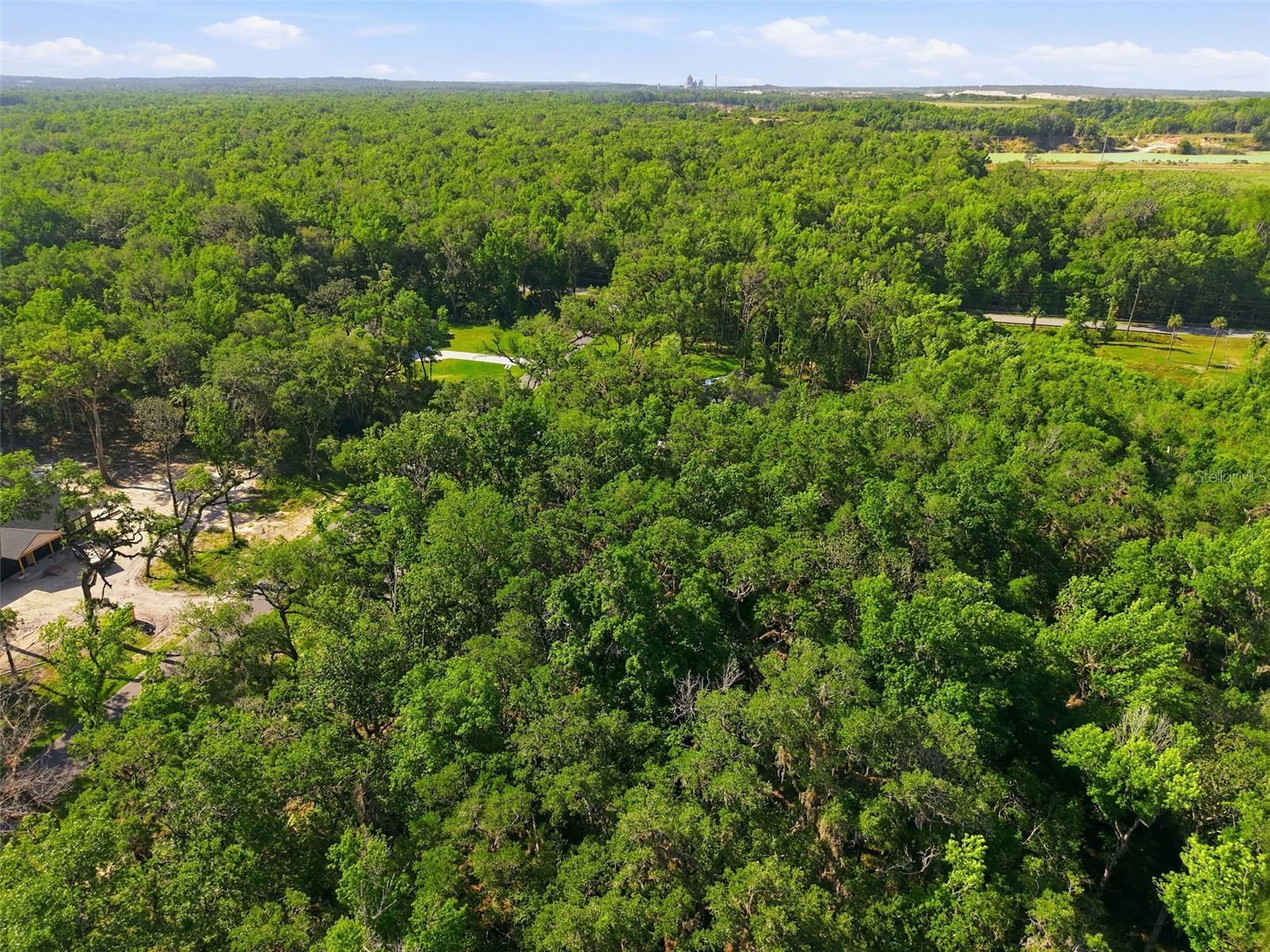 CHAMPION ESTATES - Land