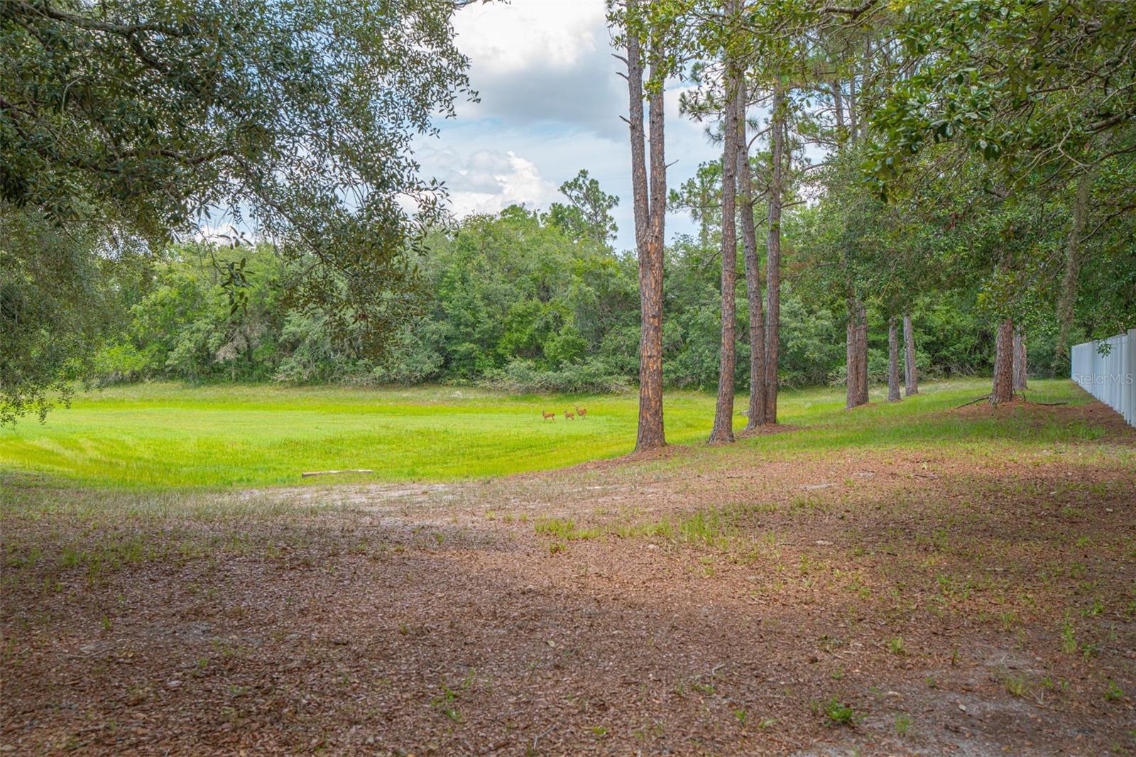 LAKE LENELLE WOODS - Residential