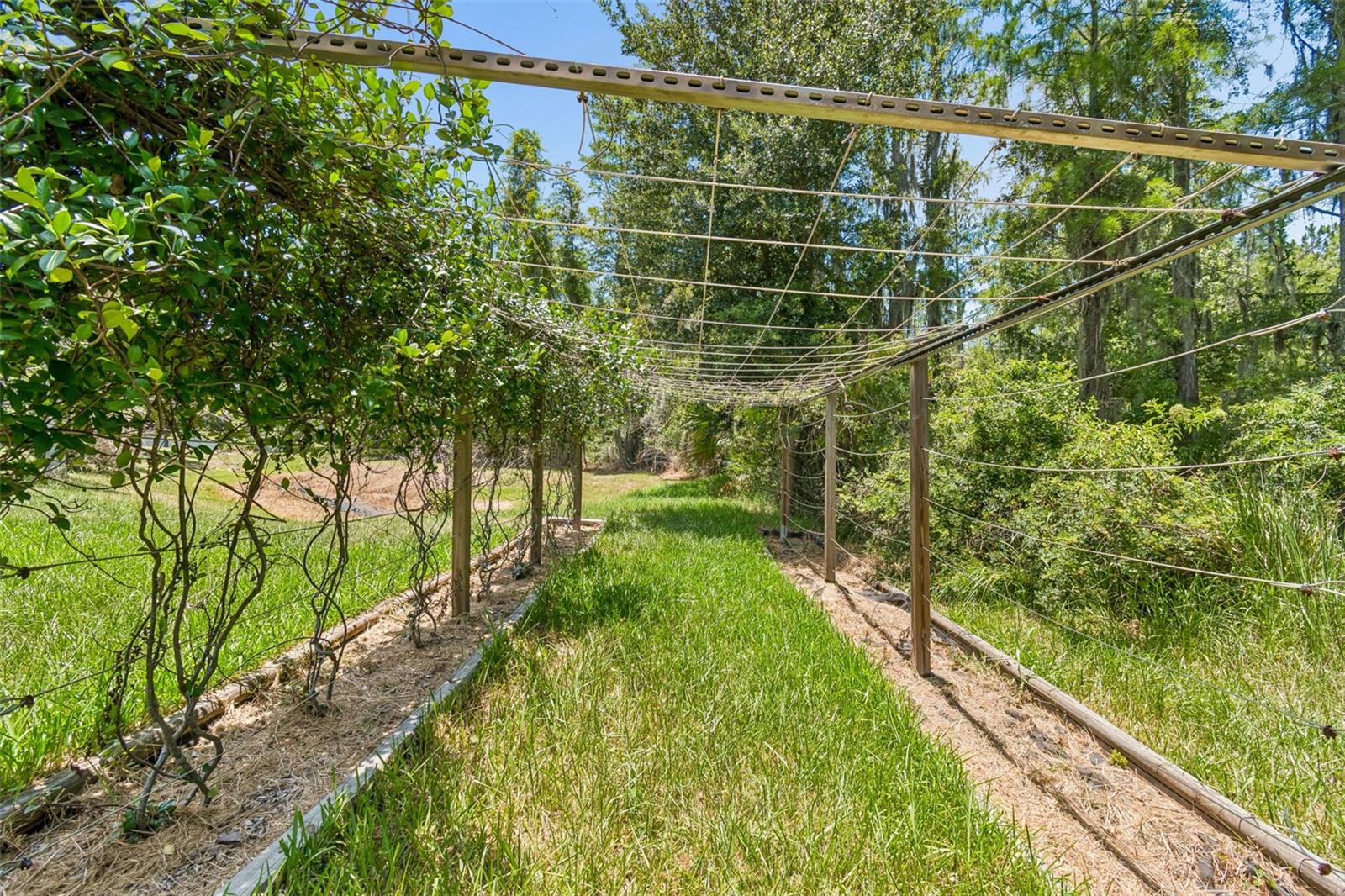 CORY LAKE ISLES PH 2 UNIT 3 - Residential