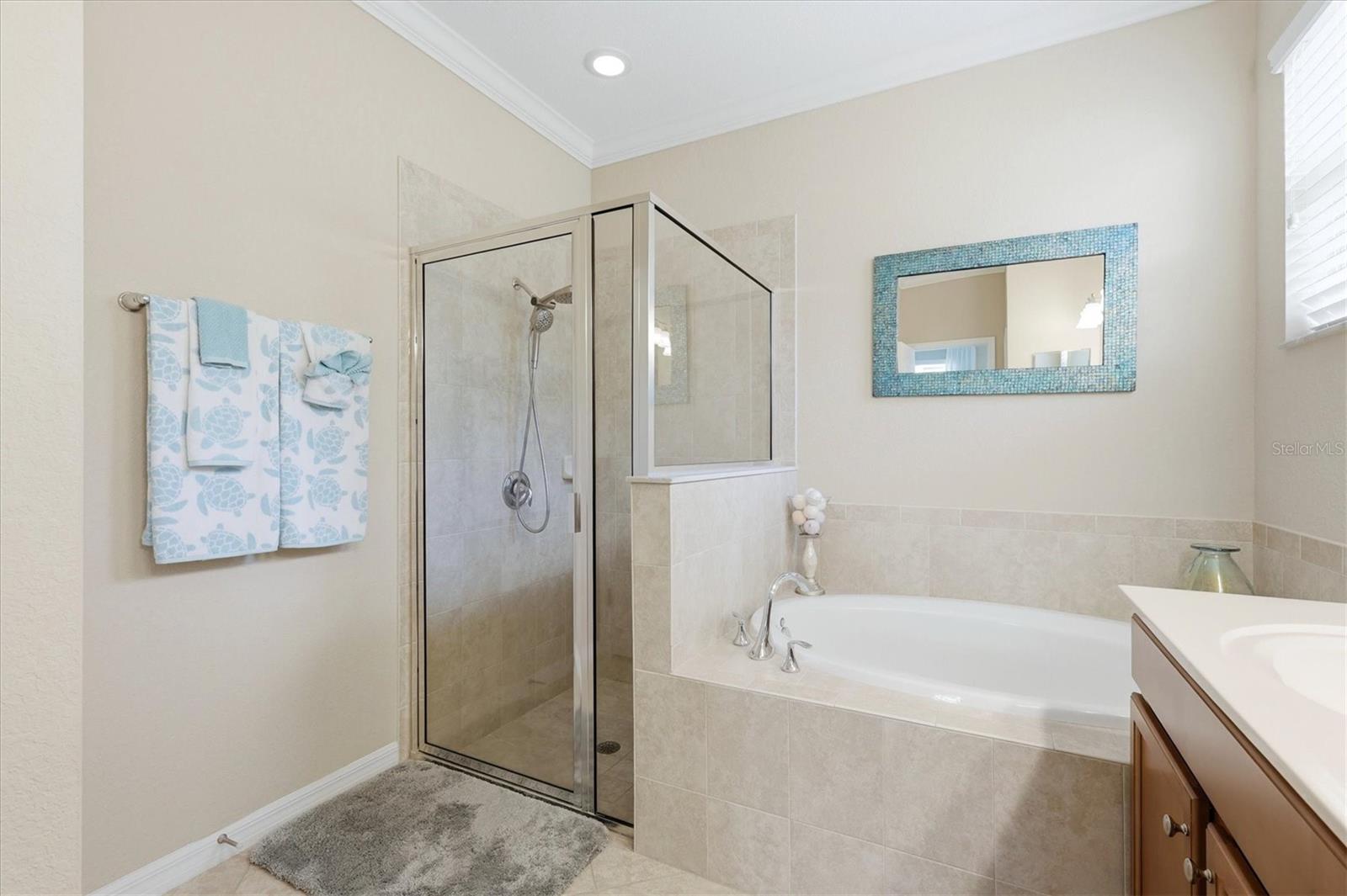 STONEYBROOK AT VENICE - Residential