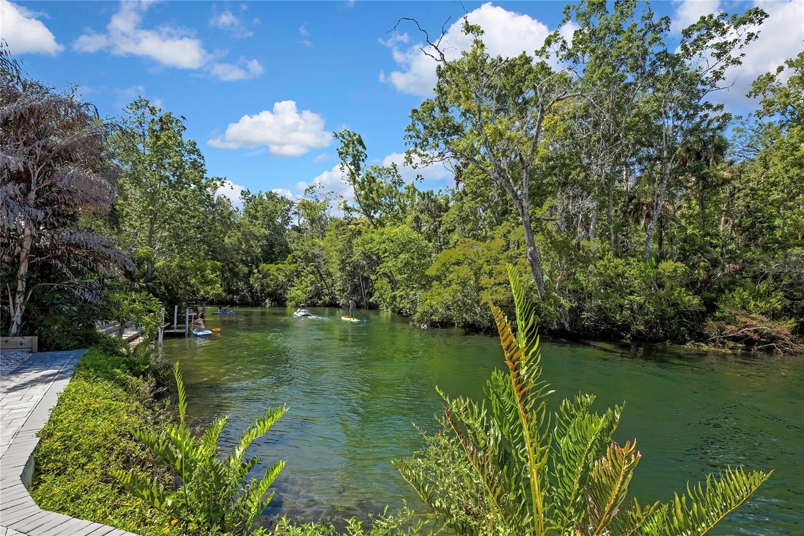 WEEKI WACHEE GARDENS - Residential