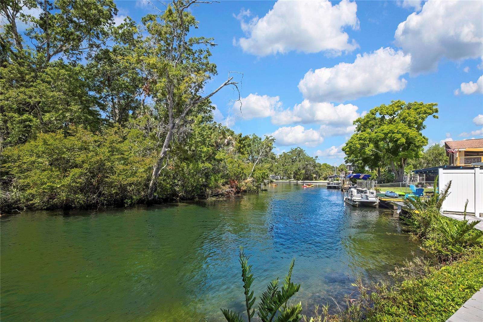 WEEKI WACHEE GARDENS - Residential
