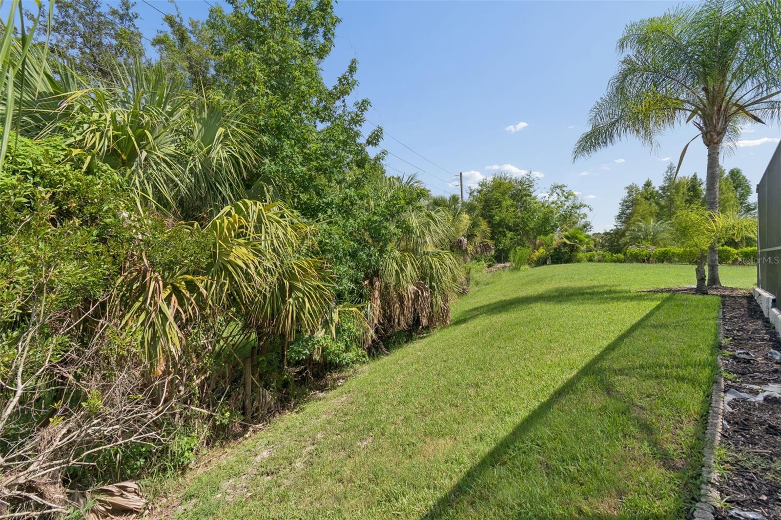PLANTATION PALMS PH 6 - Residential