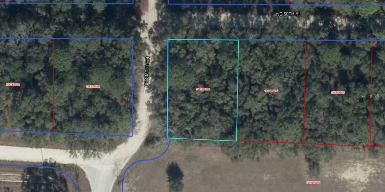 A VACANT LOT IN WILLISTON IN LEVY COUNTY!!!