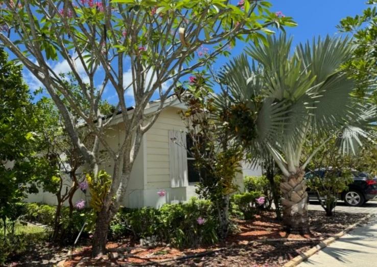ANTIGUA AT OASIS - Residential
