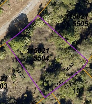 Own a piece of up and coming North Port.  This wooded lot is in a peaceful area yet conveniently located to Port Charlotte and North Port.  Electric nearby for easy connection.  NO FLOOD ZONE!  Spring training fields for the Atlanta Braves and the Tampa Bay Rays are only minutes away for the baseball lover.  Close to shopping, restaurants, and beautiful gulf coast beaches.