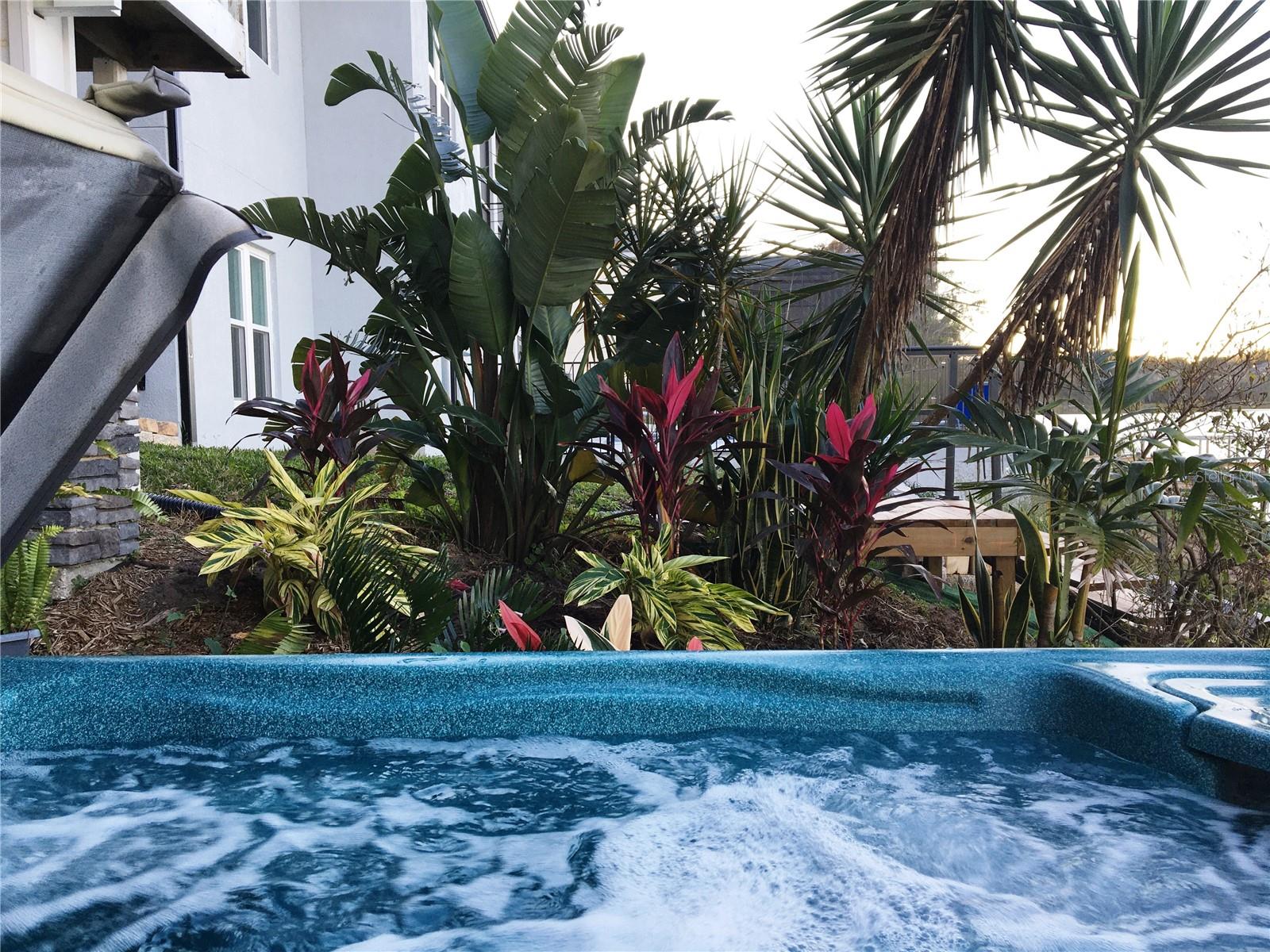 MONTVERDE ALPINE TERRACE - Residential