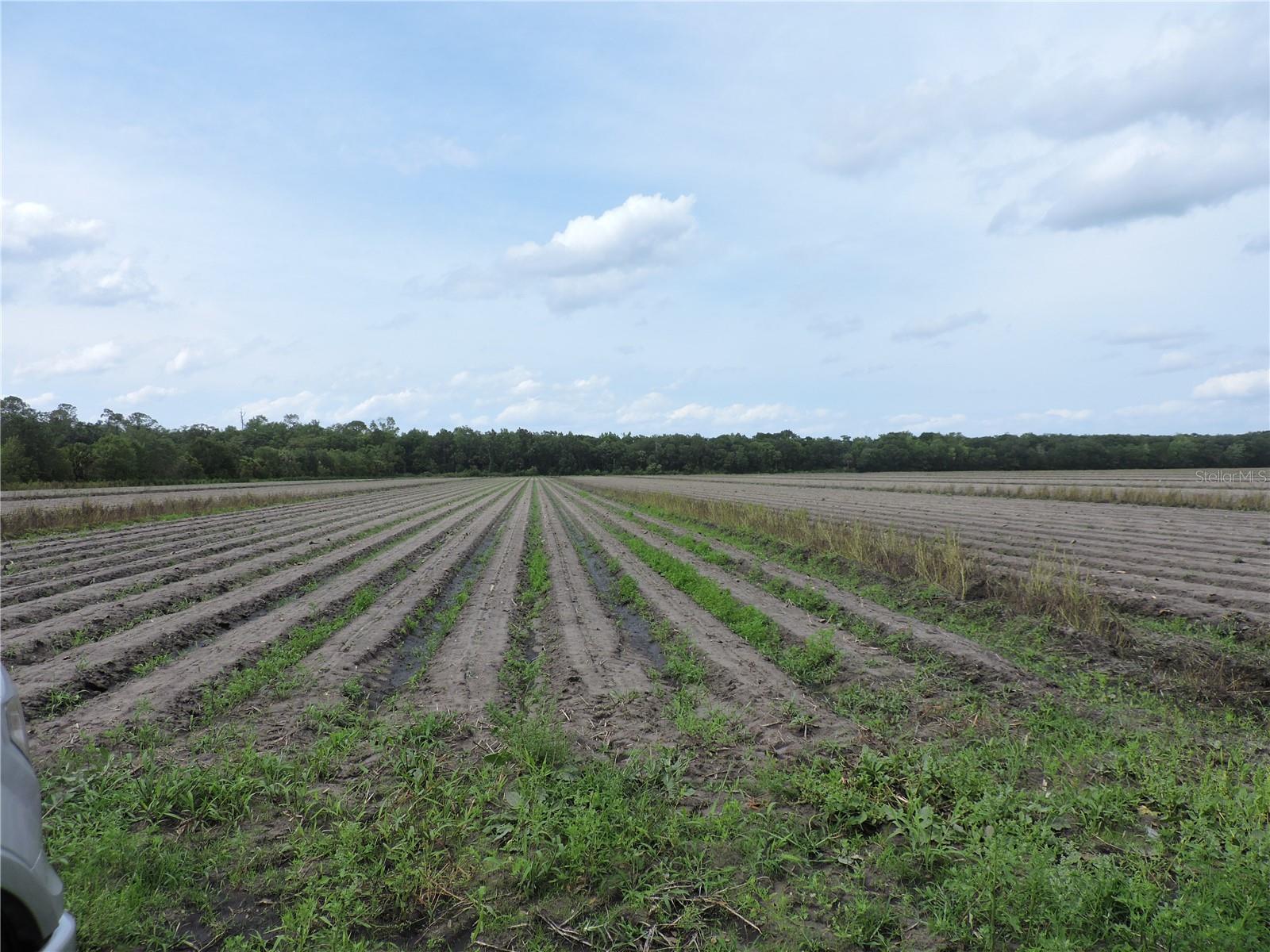 ST JOHNS DEV CO - Land