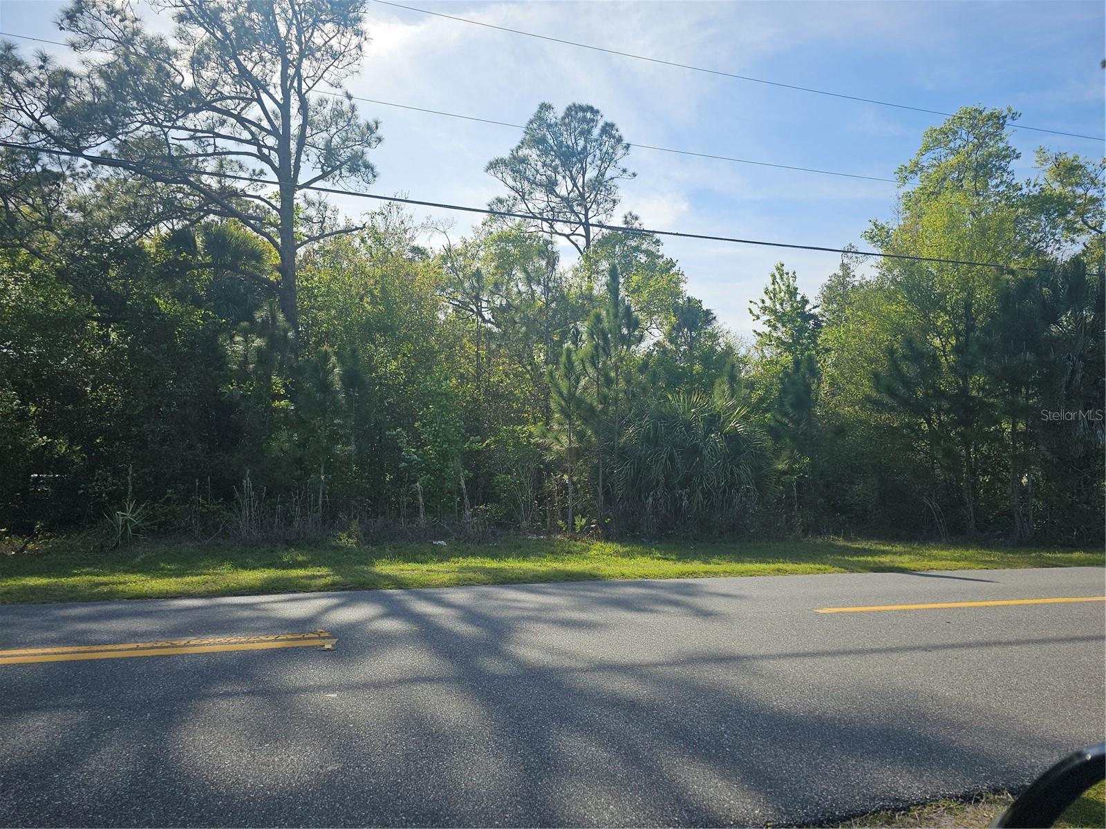Perfect 5.4 acreage property is a diamond in the woods for building your dream home. X zoning should be totally buildable.
You have the privacy and community 1 hour to beaches each way and many lakes around for boating.   
What a fantastic location, close to I-4,  417, the parks, shopping, doctors, hospitals, nightlife, anything your 2nd home or residence could want. In the middle of ChampionsGate and Reunion golf courses a few miles away. What a paradise!
