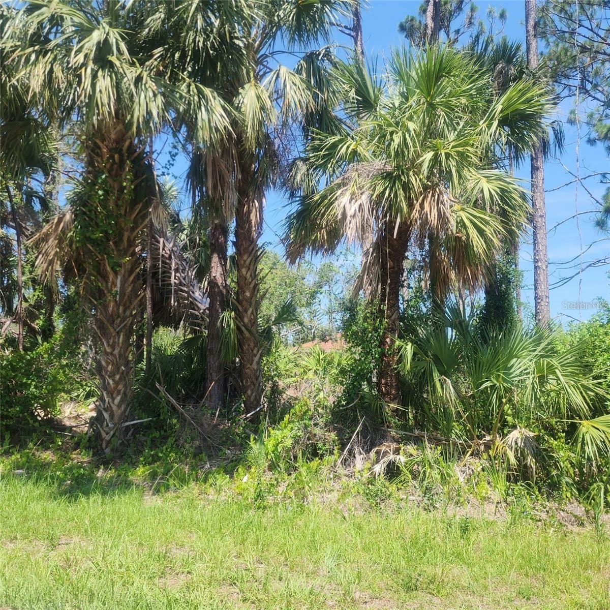 Motivated seller PROPERTY HAS SEPTIC TANK PERMIT APPROVED, BLUEPRINTS AVAILABLE. What a great oversized wooded corner lot with CITY WATER just a block off of Cranberry and just a few blocks off of nearby 41 and very close to the Cocoplum Shopping Center, Home Depot, Walmart and more! Also just take Cranberry up to the intersection with Toledo Blade to access I-75. You will love this ideal location which is also just the road from the Murdock area of Port Charlotte. This would be a great spot to build your dream home and enjoy the many amenities offered by the wonderful city of North Port.