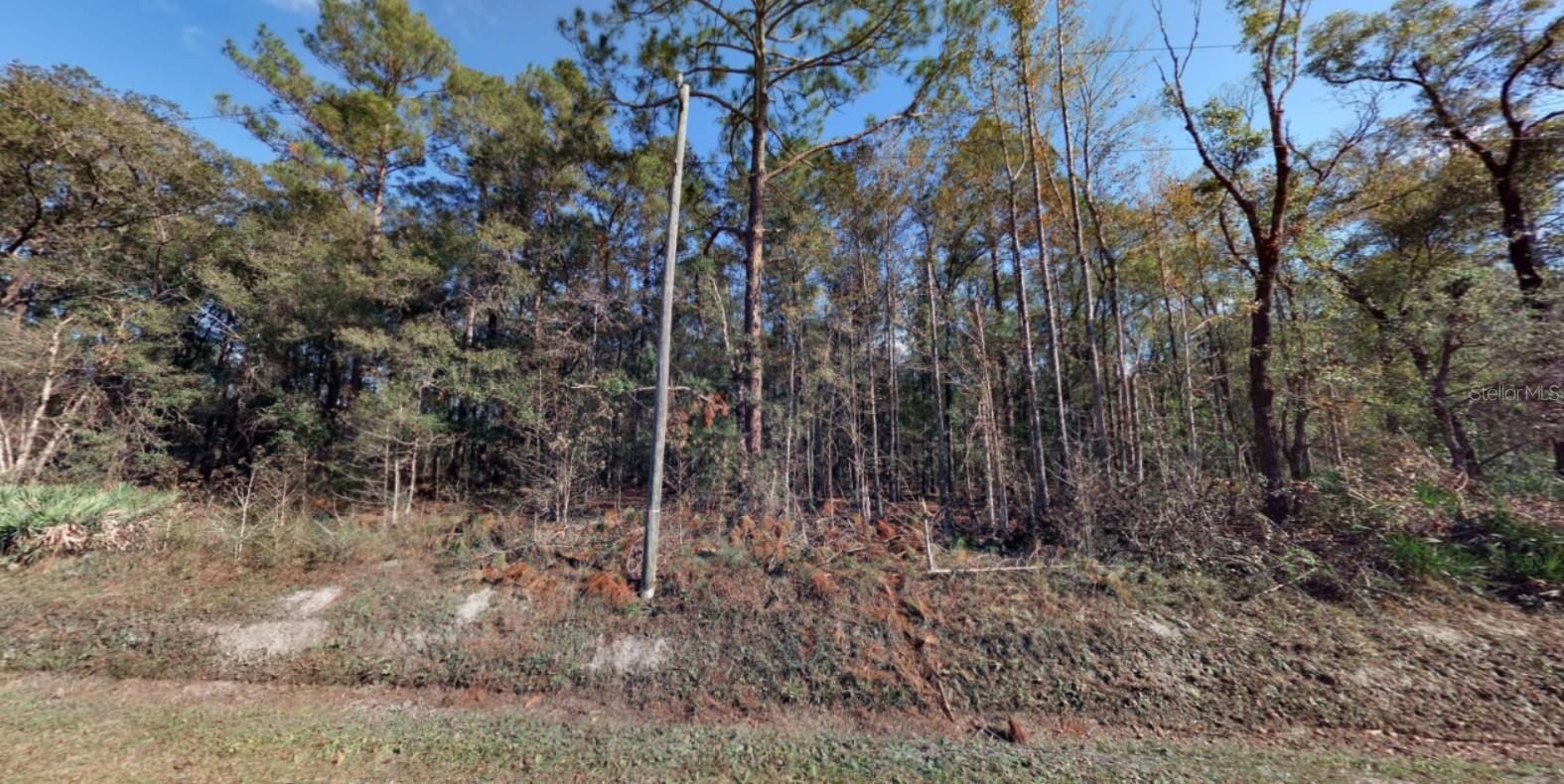 2.27 Acres in Hastings, Florida, Saint. Johns County!
Build Your Dream Home or Invest in Florida Land!
Peaceful rural setting with plenty of space and privacy
Only 18 miles to historic St. Augustine and 26 miles to Palm Coast
Close to beaches, highways, and local amenities
Enjoy Florida’s sunshine, NO HOA, NO CDD, and NO state income tax!
Address: 10410 Vaughan Ave, Hastings, FL
Zoning: Open Residential - Mobile homes and manufactured homes welcome
This is your chance to own a piece of Florida in a growing area! Perfect for building, investing, or creating your own getaway.