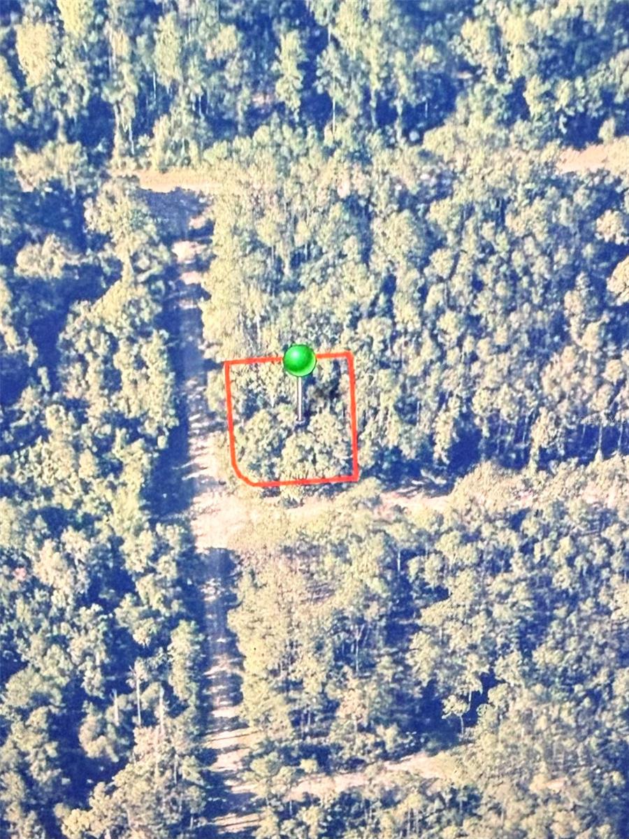 Excellent investment opportunity! This 0.27-acre corner lot is located in the growing community of Citrus Springs, Florida. With its desirable corner location and strong long-term potential, this property is suitable for investors who wish to purchase land now and build in the future as the area continues to expand. Conveniently located near shopping, schools, parks, golf courses, and outdoor recreation. Take advantage of the ongoing growth and development happening throughout the region. No HOA!