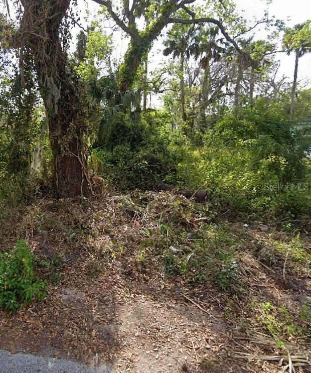 Opportunity to own approximately 0.12 acres of buildable vacant residential land located in Daytona Beach, Florida. This unimproved parcel offers the potential to construct a single-family residence, subject to zoning regulations, building requirements, and local government approvals.
Situated within Daytona Beach city limits, the property is conveniently located near shopping, dining, schools, major roadways, and the area’s well-known beaches and attractions. Whether you are looking to build your primary residence, a second home, or an investment property, this lot presents an excellent opportunity in a desirable coastal community.