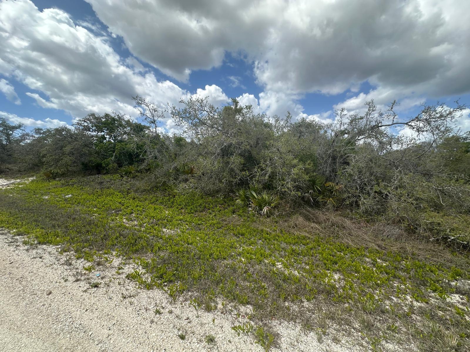 Discover the perfect opportunity to own your own piece of paradise in Lake Placid, Florida. This desirable CORNER LOT offers the ideal blend of freedom, privacy, and tranquility with NO HOA restrictions, giving you the flexibility to build the lifestyle you’ve always envisioned. Conveniently located and NOT IN A FLOOD ZONE, this property provides added peace of mind while offering endless possibilities for your future home or investment. Whether you are ready to build now or purchase for the future, this prime homesite is your gateway to enjoying all that beautiful Central Florida has to offer.