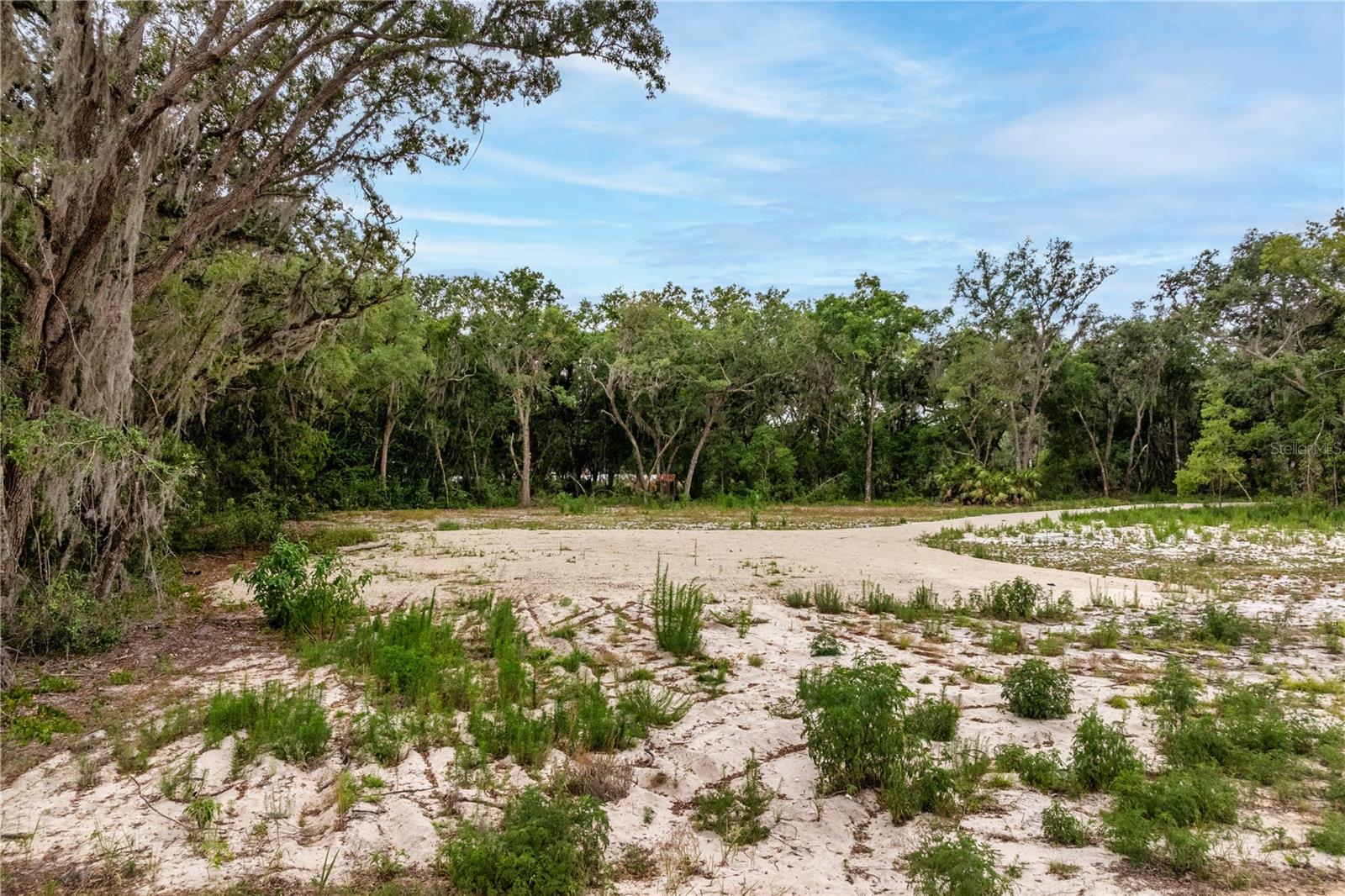 SILVER LAKE ESTATES - Land