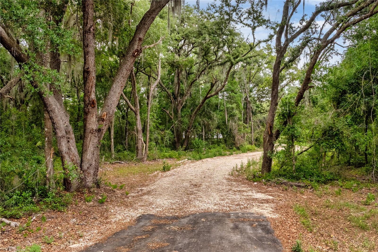SILVER LAKE ESTATES - Land
