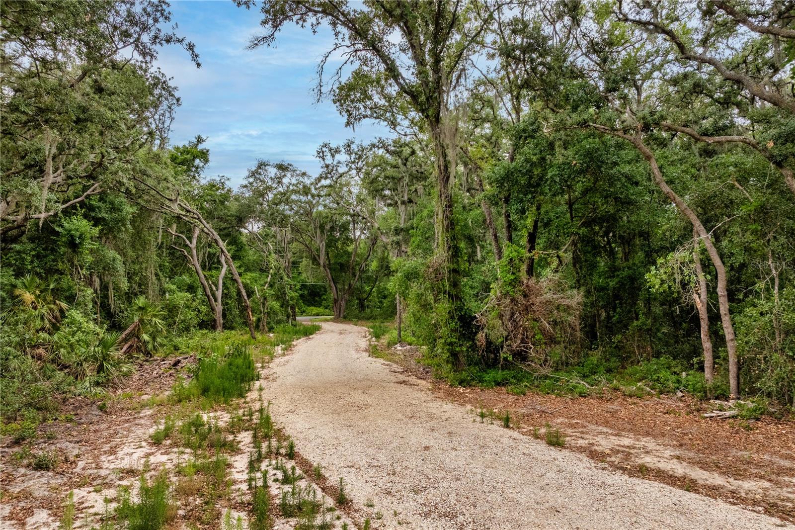 SILVER LAKE ESTATES - Land