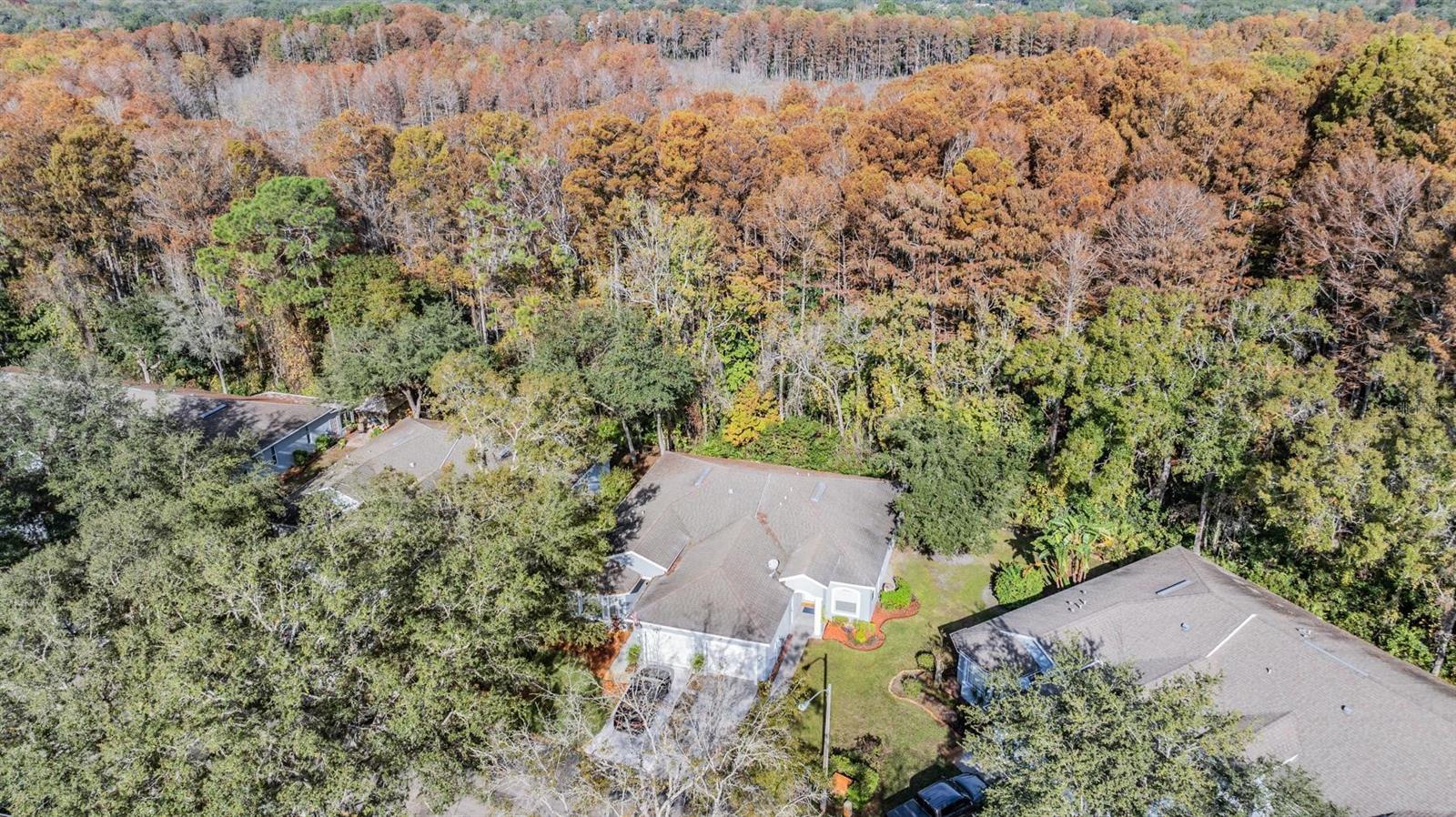 WOODLAND VILLAGE AT SHADOW RUN - Residential