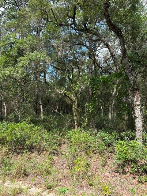 Looking to build or purchase land for future investment.... take a look at this property. Located in Rainbow Lakes Estates only a few miles from Rainbow Springs State Park and all the outdoor adventures are waiting.
