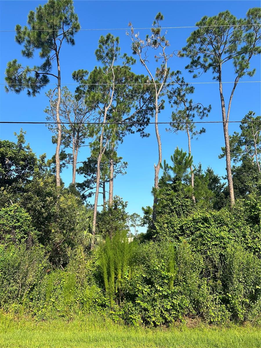 PALM COAST SEC 29 - Land