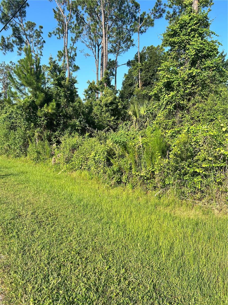 PALM COAST SEC 29 - Land