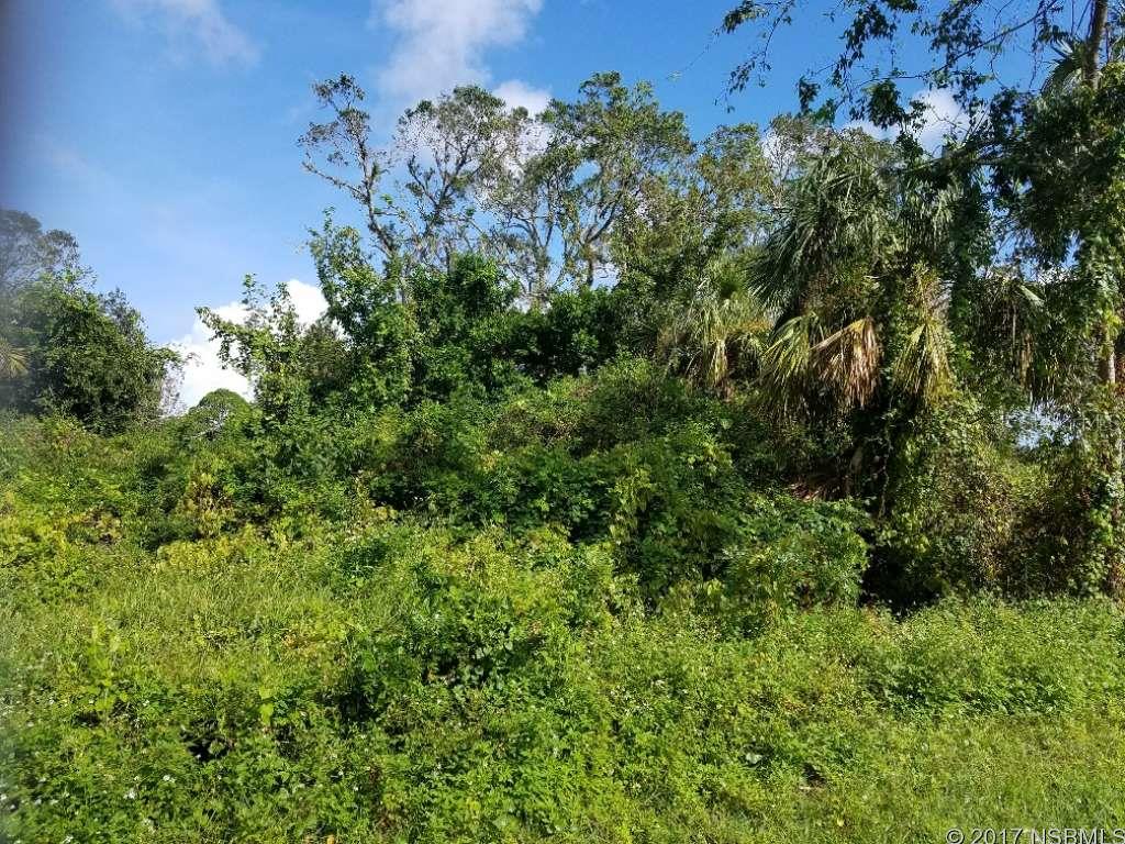HUGE corner lot to build your dream home in a convenient area of Florida Shores. Currently recorded as two separate parcels, there is plenty of room to build a large home, add a pool, create a workshop or man cave, build an extra garage with apartment or design a mother in law suite. You might decide to keep one parcel for yourself and sell off the other. Lots of choices here - let your imagination work for you! Only 15 minutes to New Smyrna's beach, close to Daytona, 3 nearby airports and a short trip to central Florida theme parks. Don't let this opportunity pass you by!; Cleared: Partial ;Water: Available at Site