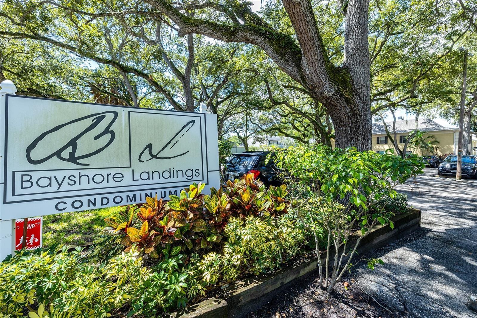 Adorable 1 bedroom, 1 bath located in the convenient neighborhood of Ballast Point.  Newly remodeled bathroom.  Unit has a pool view.  Quiet complex,  off the main road.  Beautiful tree canopy throughout property.