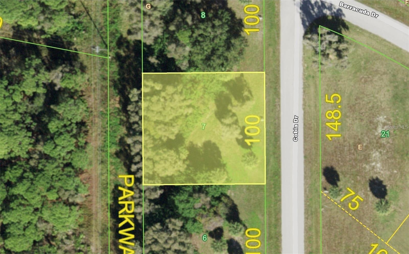 11,000 sq. ft. residential building lot located in the deed restricted community of Cape Haze East. 100' Wide 110' Deep Partially Cleared and nestled in a quiet area on the Cape Haze peninsula located in Placida Florida. Just minutes to Boca Grande and centrally located to shopping, churches, hospitals, numerous public & private golf courses, marinas & of course our beautiful beaches. West rear exposure to capture the glorious sunsets. A greenbelt buffer behind the lot creates much privacy. New homes are being built in that area. Community offers public utilities & very low association dues. An opportunity to join CHPOA, Cape Haze Property Owners Association, some of the amenities include a dock and a private beach on Don Pedro Island. Once you have completed building your home take advantage of the amenities.