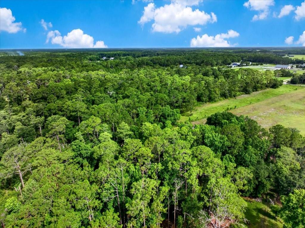 SADDLE BROOK FARMS - Land