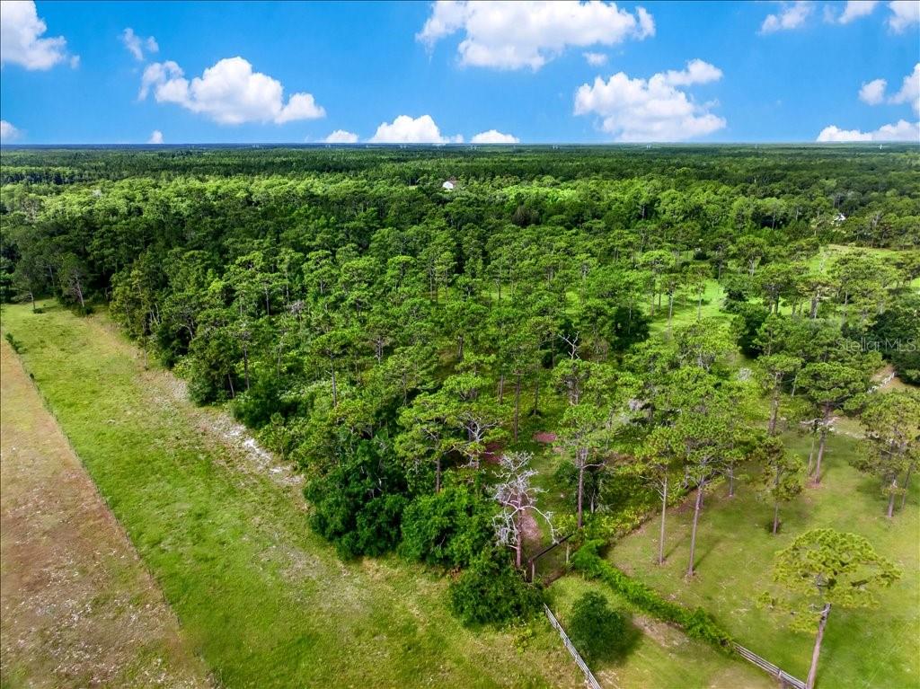 SADDLE BROOK FARMS - Land
