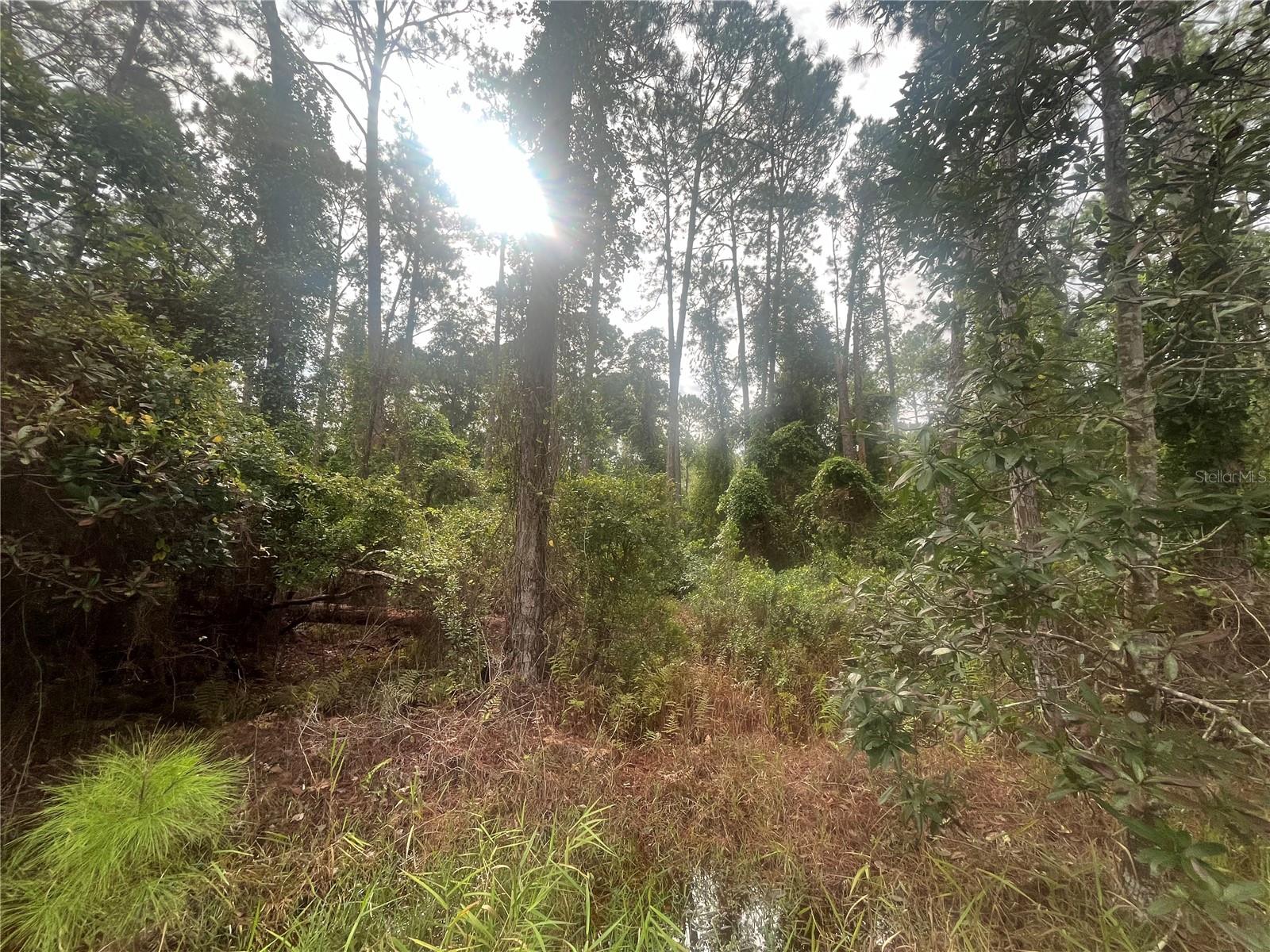 PARADISE LAKES SUB - Land