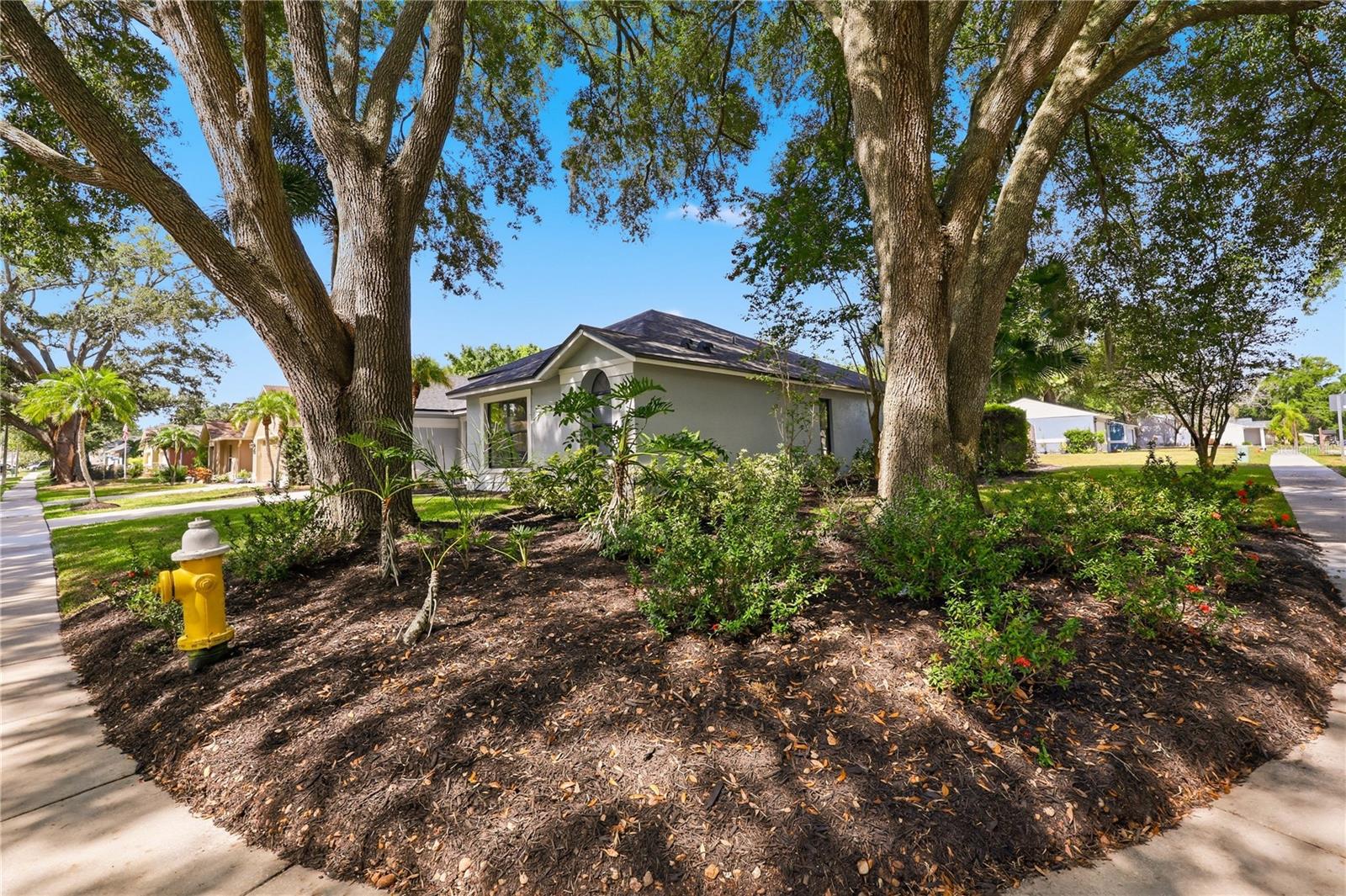GROVES AT COBBS LANDING - Residential