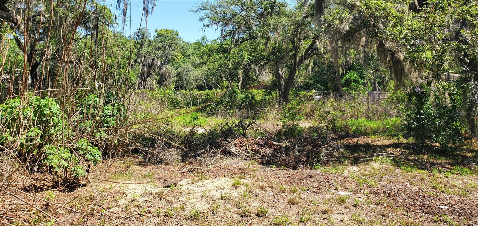 MOON LAKE ESTATES - Land