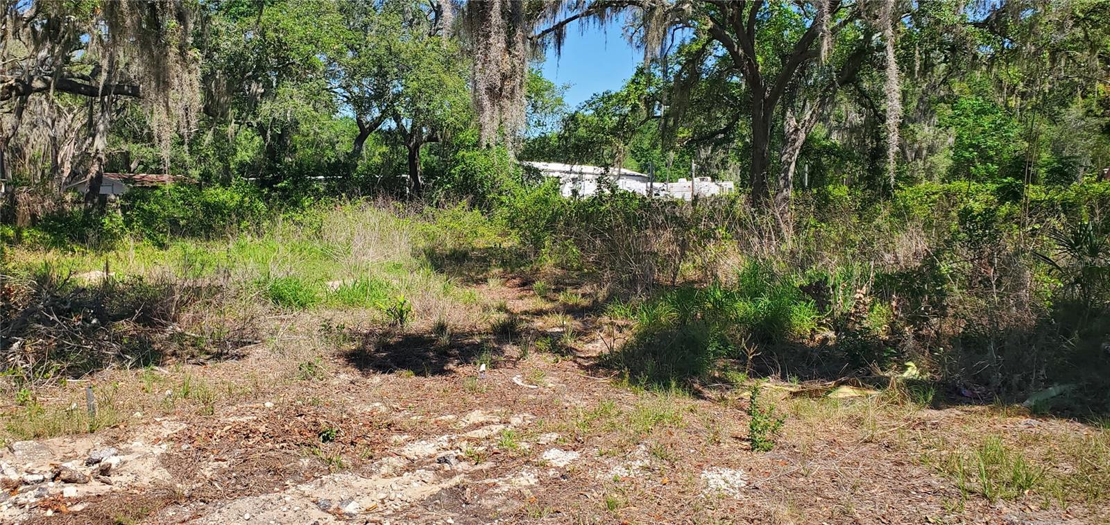 MOON LAKE ESTATES - Land