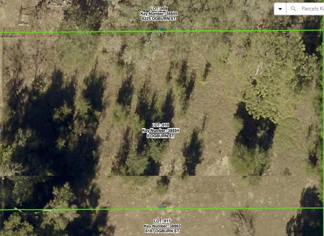 Build Your Dream Home on 0.42 Acres This beautiful property sits in a quiet, well-established neighborhood, offering the perfect canvas for your custom home. With nearly a half-acre of land, you have ample room to design your ultimate backyard oasis—plenty of space for a pool, detached garage, workshop, or play yard. Enjoy the best of Florida living: relax at the beach with just a short drive to the ocean, or jump on the nearby interstate for an easy, seamless commute to Orlando, Tampa, and Gainesville. Don't wait to secure your piece of paradise—come take a look at this exceptional location and start building today!