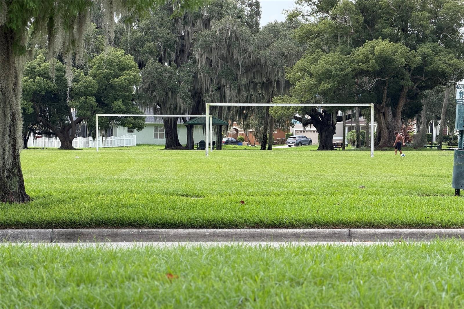 HAMMOCK TRAILS - Residential