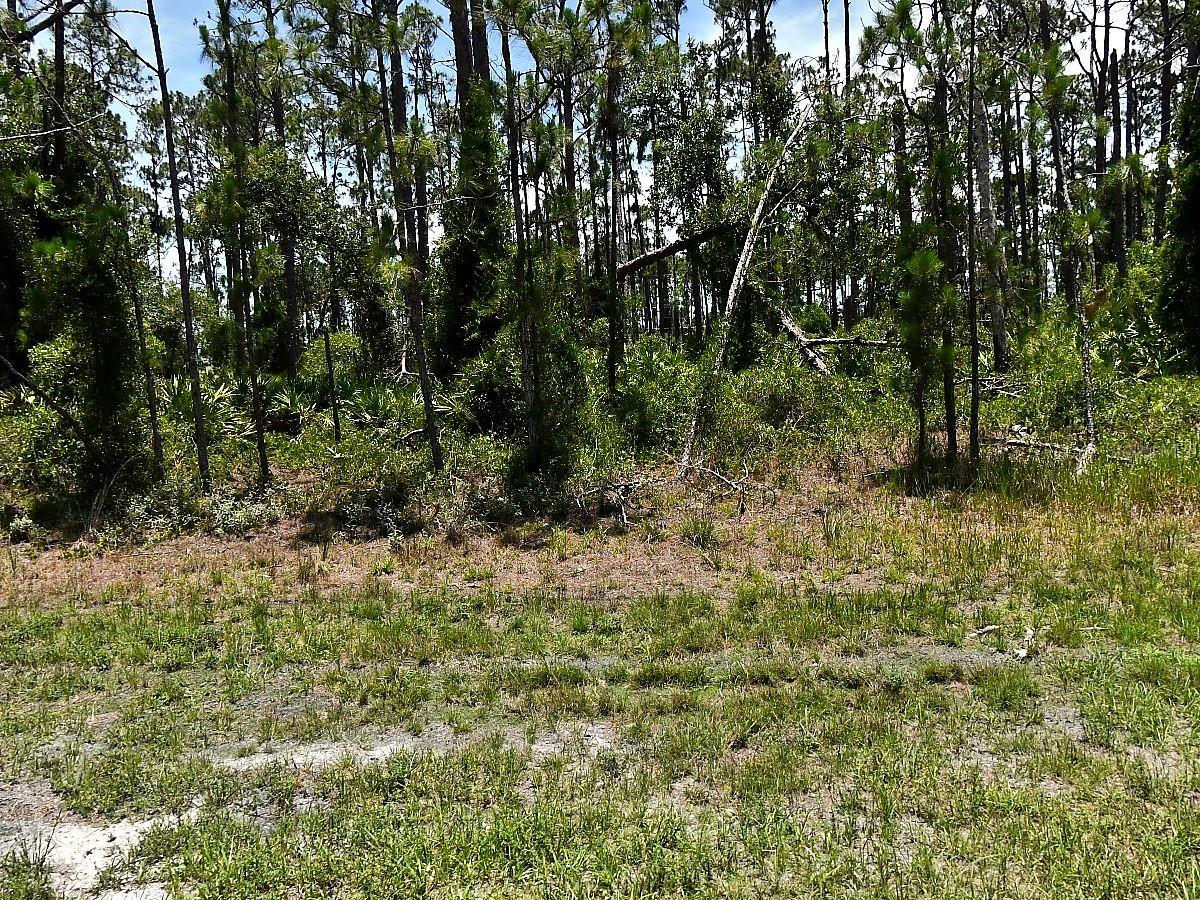 Discover the perfect opportunity to build your future in one of North Port’s growing residential areas. This beautiful lot is ideally situated in a quiet neighborhood, offering the perfect balance between privacy and convenience. Whether you're planning your dream home, a seasonal retreat, or an investment property, this location provides endless possibilities.
Enjoy easy access to shopping, dining, entertainment, schools, parks, and all the amenities North Port has to offer. Outdoor enthusiasts will appreciate the proximity to world-class fishing, championship golf courses, scenic rivers, nature trails, and the stunning Gulf Coast beaches that make Southwest Florida such a sought-after destination.
Located in Flood Zone X, this property offers added peace of mind. Additional advantages include no HOA, no CDD, no Scrub Jay zone (per the Sarasota County Property Appraiser website as of 06/16/26; please reconfirm during due diligence), and an environmental study already completed and available upon request.
Secure your piece of Florida paradise today and start turning your vision into reality.