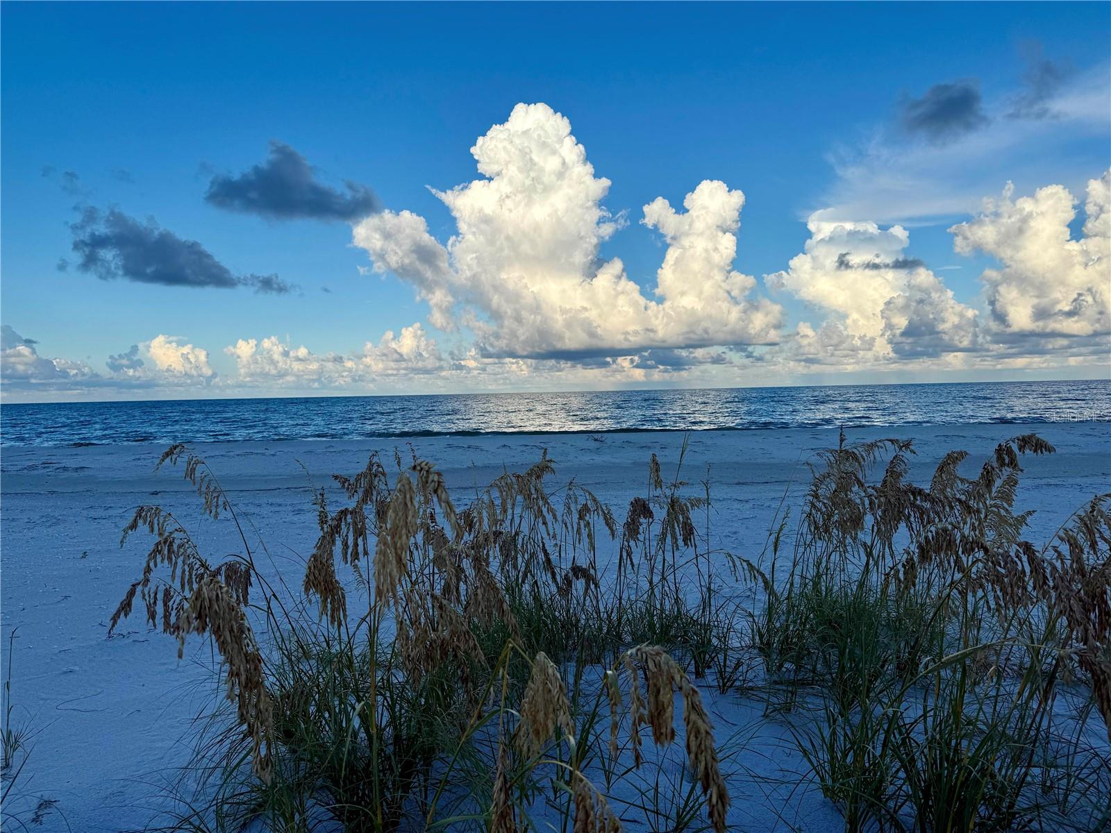 PRESERVE LITTLE GASPARILLA - Land