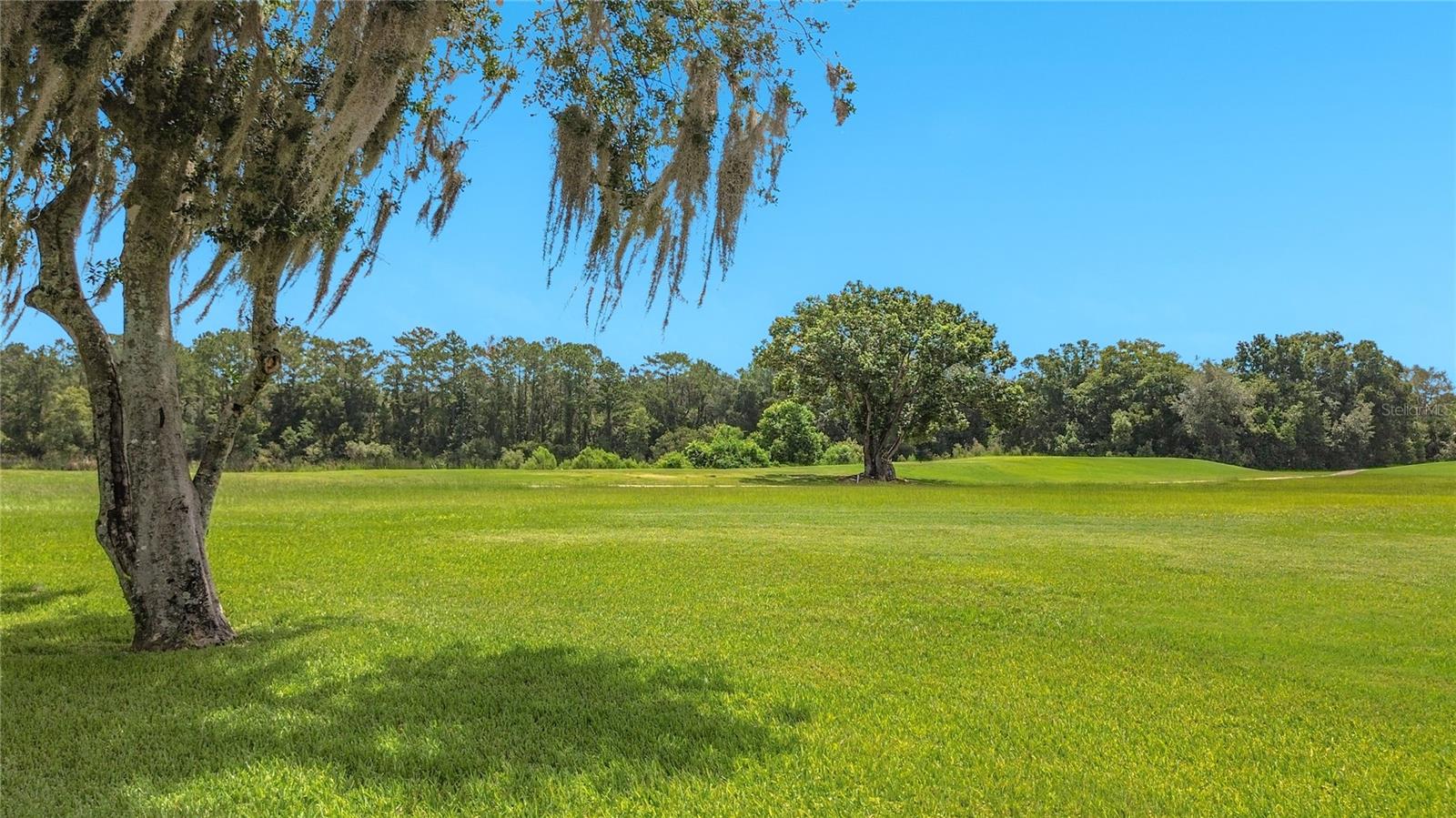 LIVE OAK VILLAGE - Residential