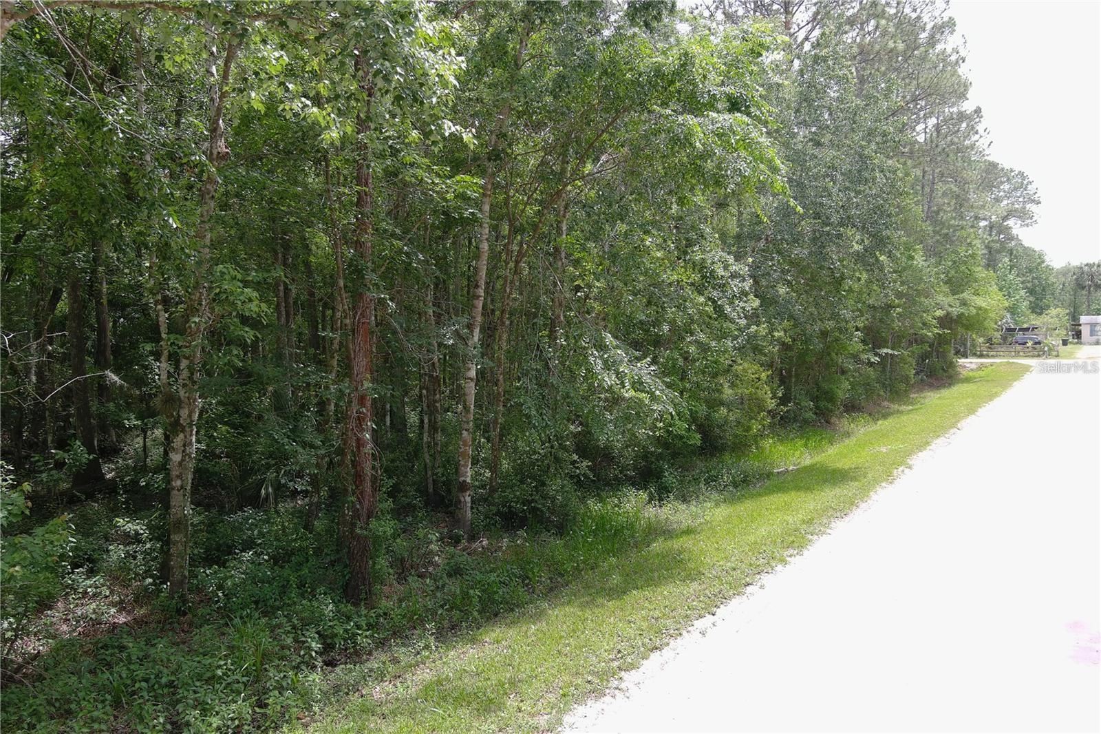 DAYTONA NORTH SUB - Land
