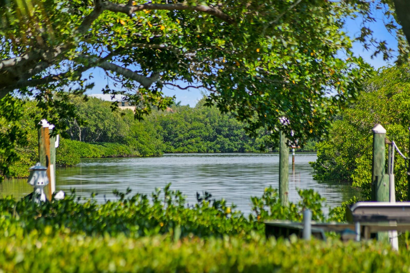 TIERRA VERDE - Residential