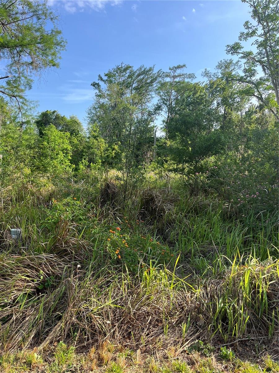 RUSTIC ACRES UNIT 2 - Land