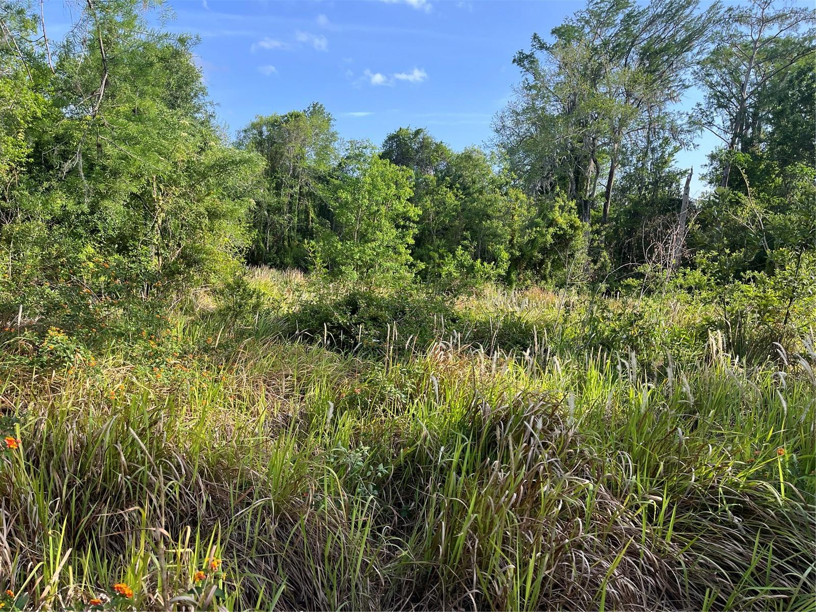 RUSTIC ACRES UNIT 2 - Land