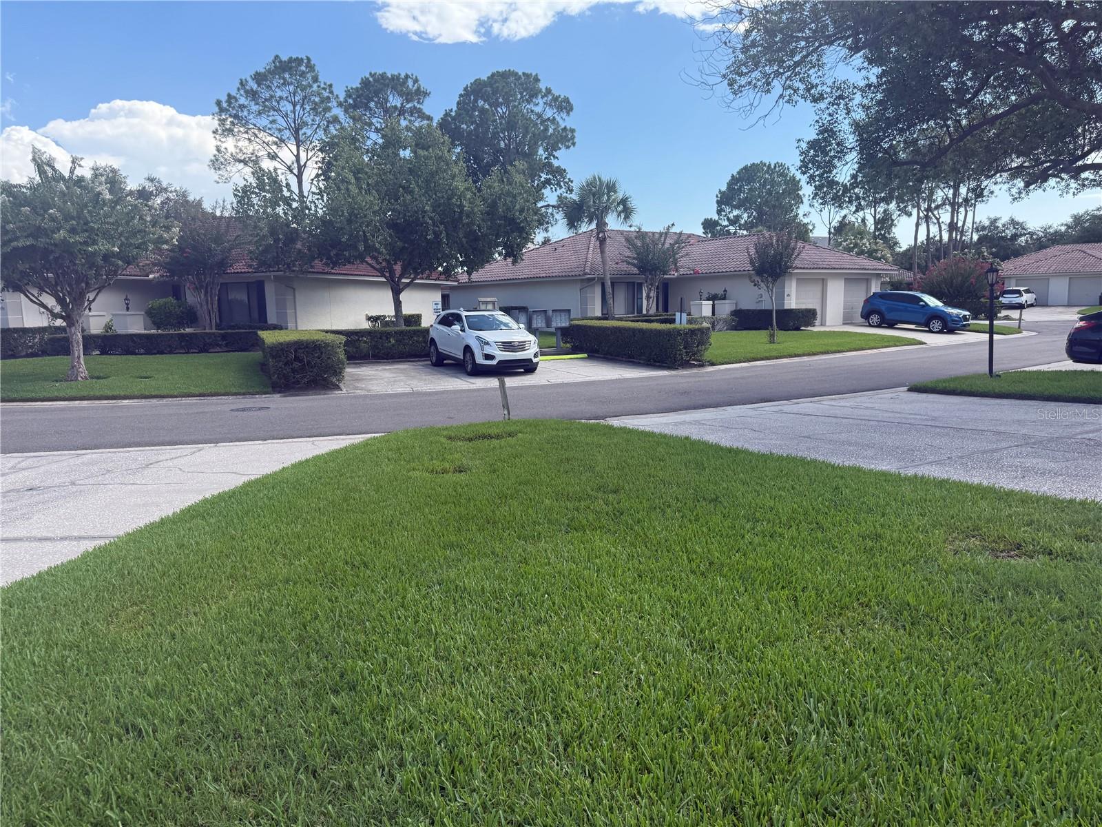 LAKEVIEW VILLAS AT PEBBLE CREE - Residential