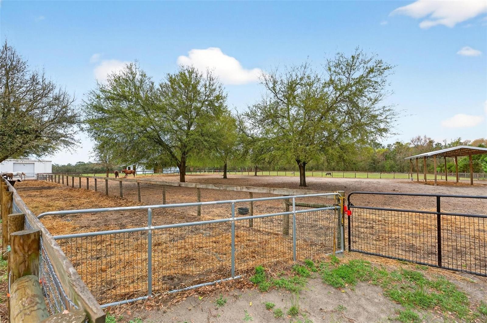 NORTH STAR RANCHETTES - Residential