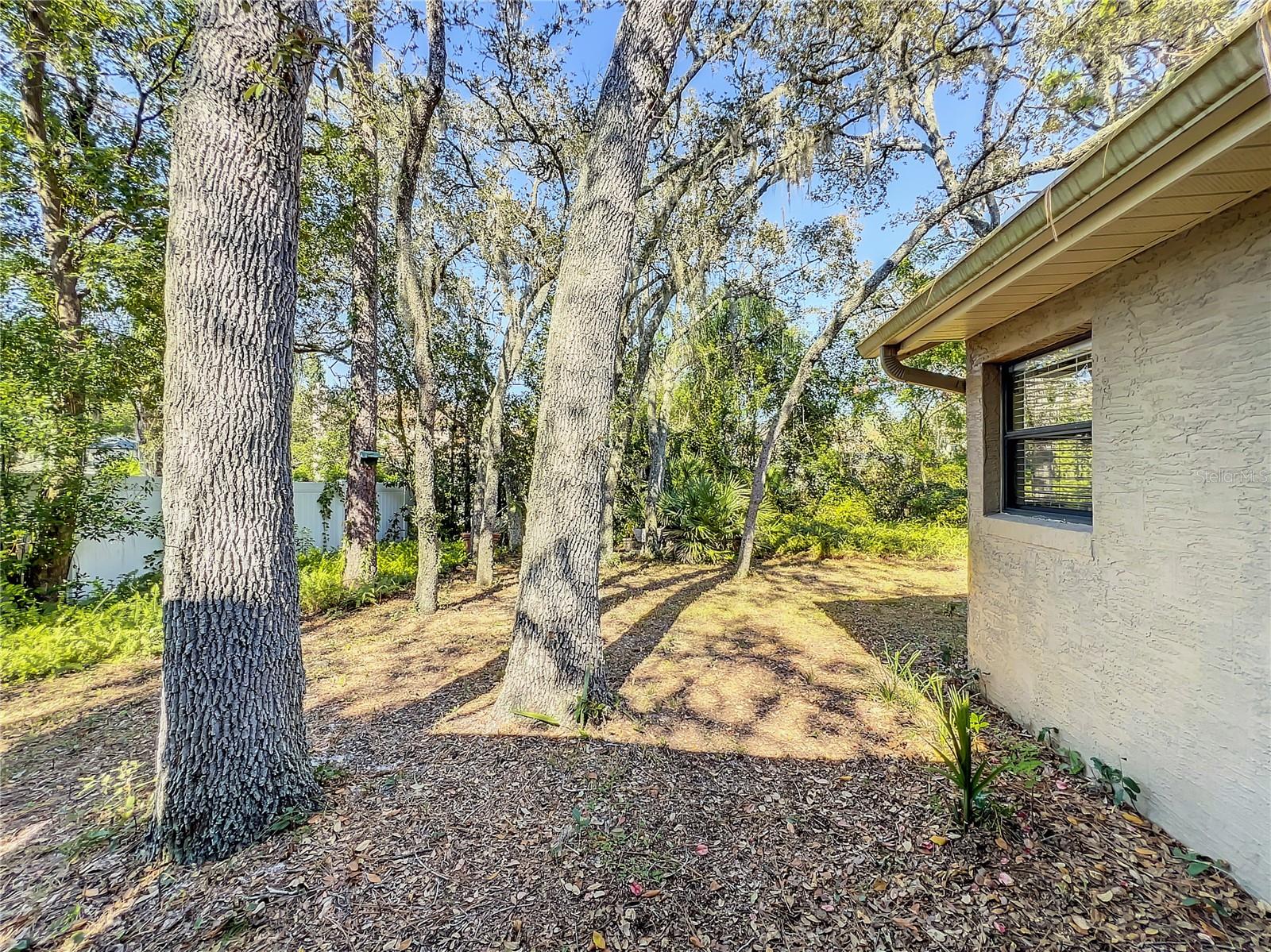 FOXCHASE PH 1 - Residential